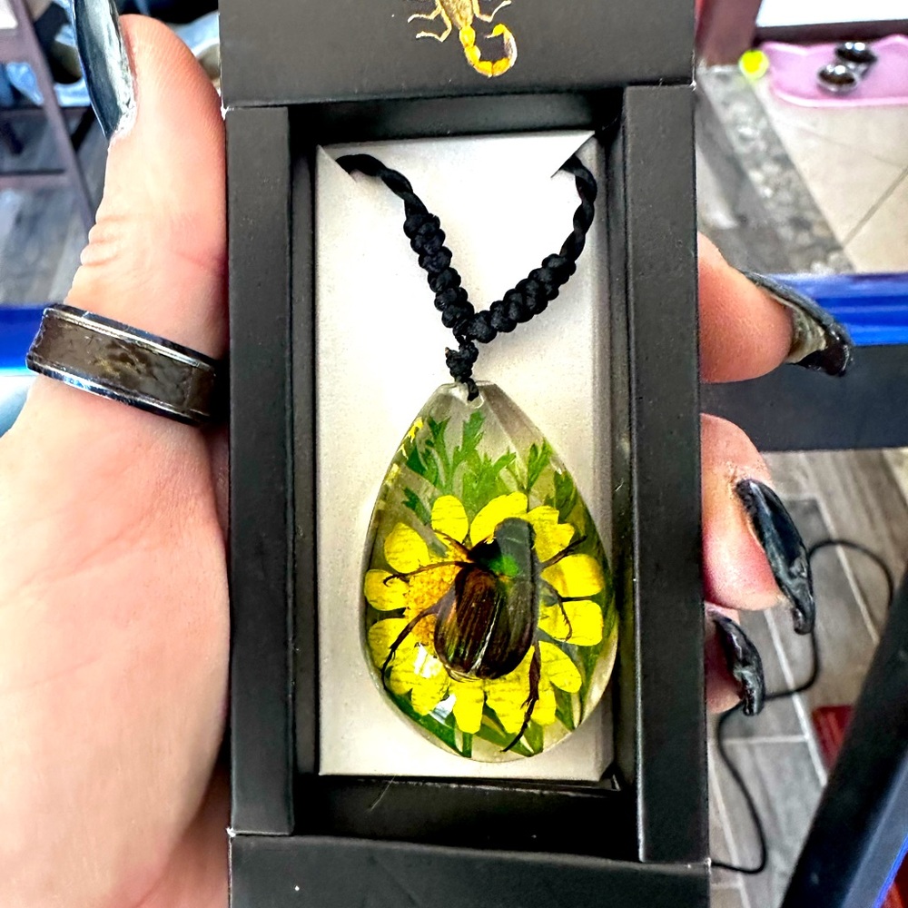 Red-legged rutelian chafer Bug necklace real insect bug taxidermy NIB